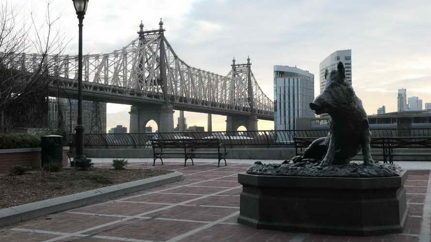 NYC_2020-01-27 07-41-22_P1070723